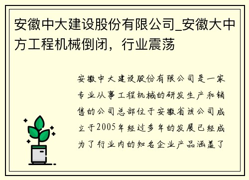 安徽中大建设股份有限公司_安徽大中方工程机械倒闭，行业震荡